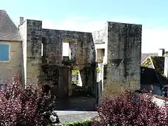 Les ruines du château de Thenon.
