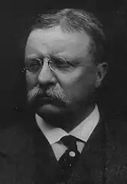 Theodore Roosevelt, ancien président des États-Unis (1901-1909), candidat à la présidence