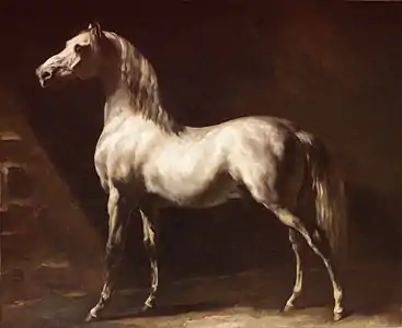 Cheval arabe blanc, Géricault