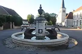 Fontaine des cygnes.