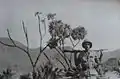 Thesiger en 1934 près de Djibouti
