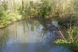 La rivière Igneraie en 2011.