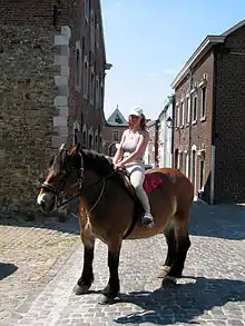 Au milieu d'une rue pavée et de maisons en brique, cheval sellé et harnaché sur lequel est monté une jeune fille portant une casquette.