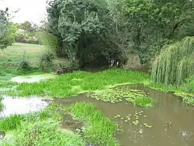 La Smagne sous le pont à l'entrée de Thiré