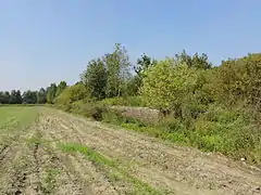 Un vestige du mur d'enceinte.