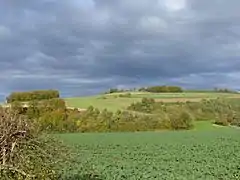 La vallée de Vinchoir.