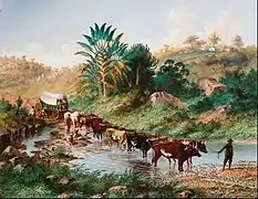 Wagon Crossing a Drift - Natal (1874)