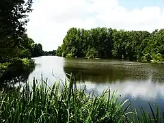 Le Thouet au moulin de Blanchard.