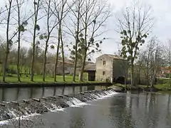 Le Thouet et le moulin à Gourgé.