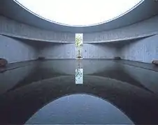 Three Art Museum - Water