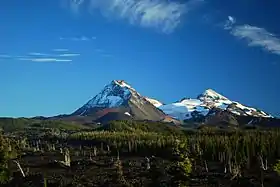 Une ancienne coulée de lave et une forêt de conifères devant deux montagnes séparées par un col abritant un glacier.