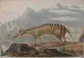 Thylacine, peinture de 1817