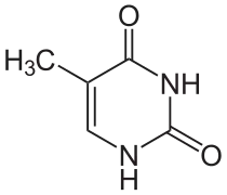 structure chimique de la thymine