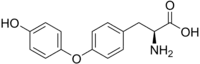 Image illustrative de l’article Thyronine