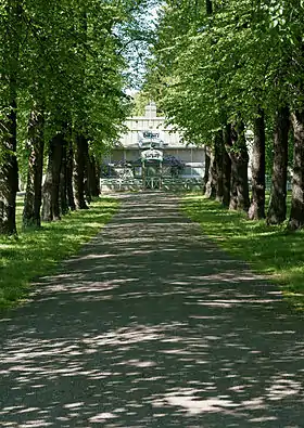 Chemin menant au restaurant Kirjuri.