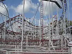 Tig'rr Coaster