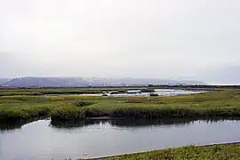 Estuaire du Tijuana