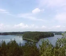 Ile Tikansaari du lac Pyhäselkä.
