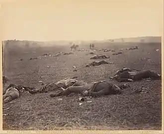 Photographie en noir et blanc montrant, du premier plan jusqu'à l'horizon, des corps jonchant le sol.