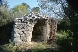 Cuvier construit pour recevoir la récolte de raisin.