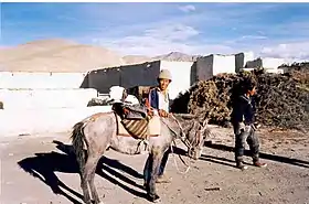 Image illustrative de l’article Dzong de Tingri