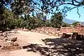 À l'intersection du cardo et du decumanus la place decumane bordée par les temples