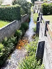 Tirelagüe traversant le quartier des Castors à Mimizan.