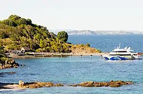 Port de Tiritiri Matangi