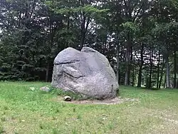 Vue du bloc erratique le 14 juin 2017.