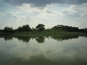 Image illustrative de l’article Lac Tisza