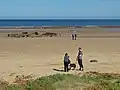 très grande plage de sable.