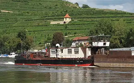 Vignobles surplombant l'Elbe.