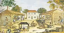 Préparation du tabac par des esclaves, colonie de Virginie, vers 1670.