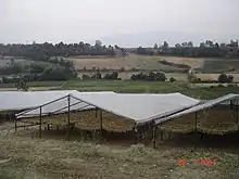 Photographie en couleur montrant des séchoirs à tabac dans un paysage rural.