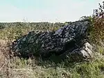 Dolmen de Margot, la Pierre levée.