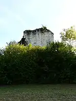 Les ruines du donjon de Vernode.