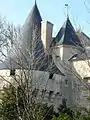 Les toits du château de Dampierre-sur-Boutonne.