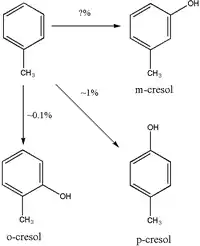 Voie métabolique du crésol