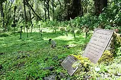Tombe de Dian Fossey.
