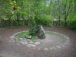 Deux grandes pierres et un houx au centre d'un cercle délimité par de petites pierres, dans une forêt.