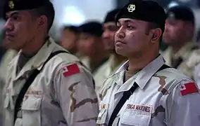 Infanterie de marine des Tonga en Irak en 2008