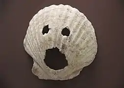 Photographie d'une coquille Saint-Jacques, avec des trous percés pour figurer deux yeux et une bouche, exposée dans un musée.