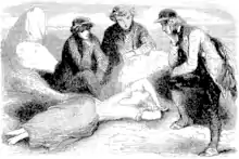 Jeanne, allongée et endormie, occupe le centre de l'image tandis que les trois hommes, assis autour d'elle, la regardent d'un air pensif.