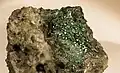 Torbernite - Wheal Buller, Redruth, Cornouailles (Angleterre) (XX3mm)