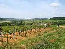 Le village et un de ses vignobles.