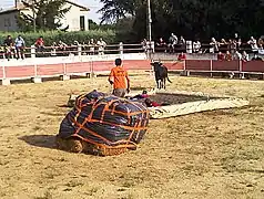 Toro-piscine à Orsan dans le Gard.