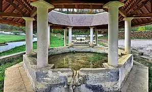 Le bassin du lavoir octogonal.