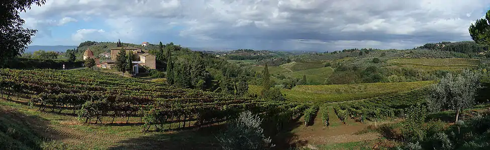 Paysage vallonné typique d'oliveraies et de vignobles de Montalbano et du Chianti en Toscane
