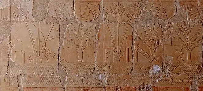 Bas-relief de l'expédition au pays de Pount : habitat, faune et flore du pays.Deir el-Bahari