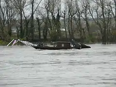 Loire, près de Langeais.